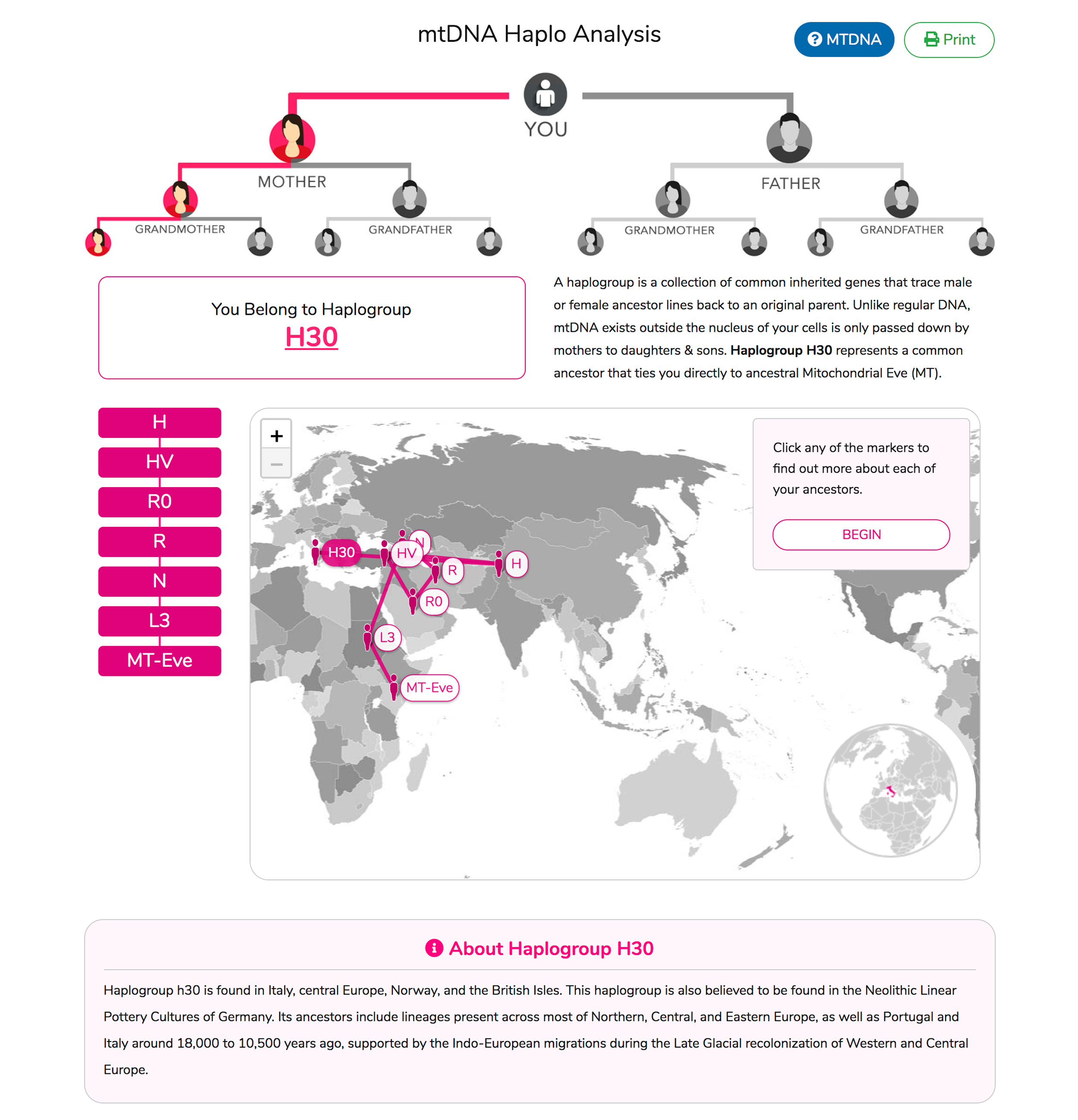 mtdna_sample