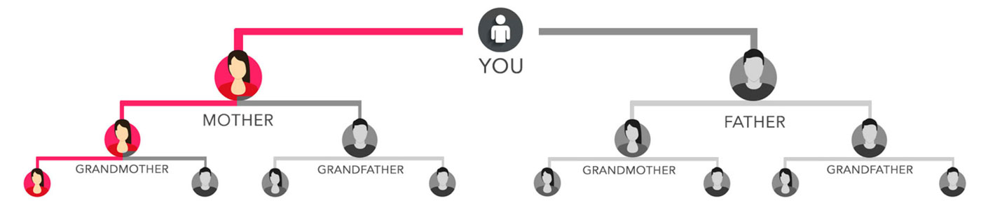 CRI Genetics mtdna Report